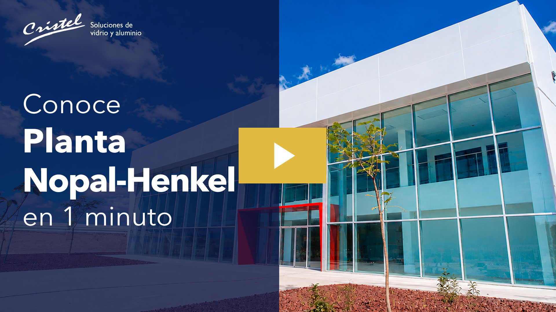 Nopal-henke-YT