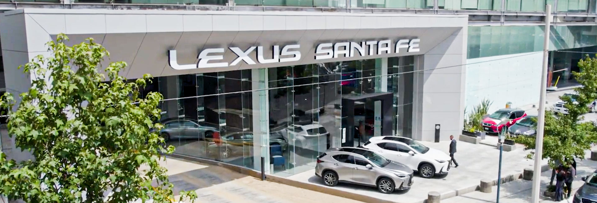 proyectos-Lexus Santa Fe